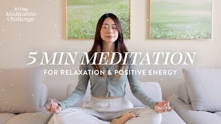 5 Minute Meditation for Relaxation amp Positive Energy  30 Day Meditation Challenge [upl. by Norvell518]