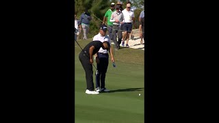 Tiger outdrives JT and lets him know about it 😂 [upl. by Elliot35]