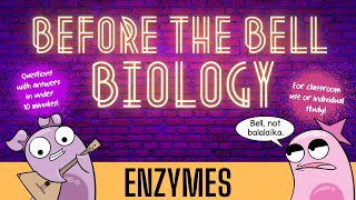 Enzymes Before the Bell Biology [upl. by Norihs]