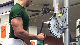 1Arm Reverse Grip Tricep Pressdown [upl. by Onin478]