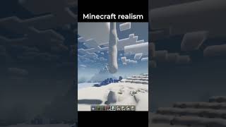 Minecraft Realism [upl. by Nyleuqaj]