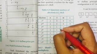 Afbau principle  Paulis Exclusion Principle  Hunds Rule  Class 11 Chemistry  In Tamil [upl. by Jarid83]