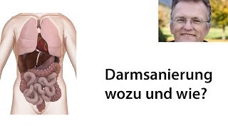 Darmsanierung  11 Tipps wie Sie Ihren Darm selbst sanieren können [upl. by Lucy696]