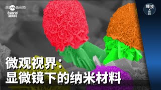 狮城有约  微观视界：显微镜下的纳米材料 [upl. by Decato508]