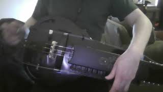 Eluveitie  Santonian Shores Hurdy Gurdy Cover [upl. by Tremml]