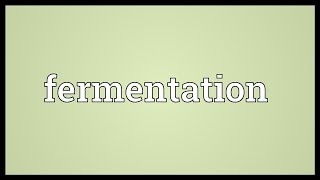 Fermentation Meaning [upl. by Devona]