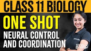 ONE SHOT  Class 11  Neural Control and coordination  Xylem NEET Tamil [upl. by Alexia249]