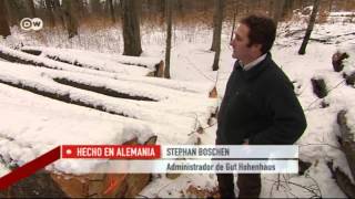 Transformación en los bosques alemanes  Hecho en Alemania [upl. by Caswell]