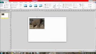 Importing and Editing Images in Publisher [upl. by Us454]