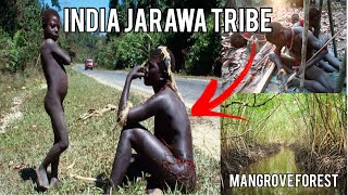 Tribes of Andaman II Jarawa Sentinelese Onge Tribe  Mangrove forest [upl. by Kcirderf]