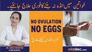 No OvulationAnovulation Symptoms Treatment  Anda Nahi Bane To Kya Karen  No Eggs Release In Women [upl. by Bunce]