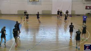 Handball Passing Drill 3 [upl. by Hayikaz]