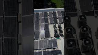 What is a photovoltaic cell solar solarpower solarpanels [upl. by Zampardi]