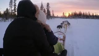 Auf HuskyTour in Norwegen und Lappland [upl. by Yecaw]