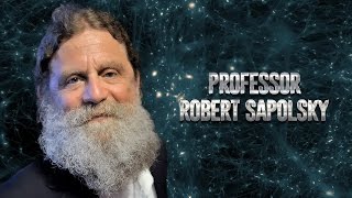 Robert Sapolsky on science morality religion and human behavioral biology Vert Dider 2017 [upl. by Stinson67]