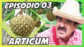 IMBILINO E OS FRUTOS DO CERRADO  EPISÓDIO 03 ARTICUM [upl. by Vachil981]