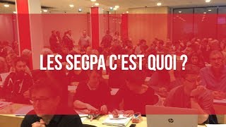 LES ETATS GENERAUX DES SEGPA janvier 2018 [upl. by Stinson]