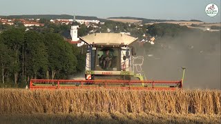 Sommergerste Ernte bei Frankenberg  Grain Harvest Claas Lexion JCB Fastrac Multi Agrar Claußnitz [upl. by Priest]