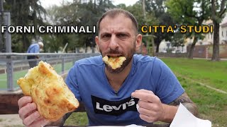 Forni criminali CITTA STUDI Milano [upl. by Marvin610]