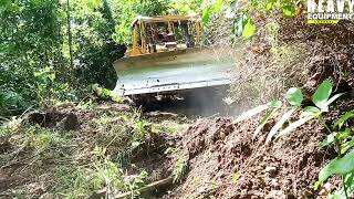 Caterpillar D6R XL Bulldozer Cleaning Plantation roads [upl. by Yedarb628]