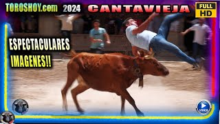 TOROS ESPECTACULARES DE CANTAVIEJA 2024 POR TOROS HOY [upl. by Nekal]