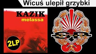 KAZIK  Wicuś ulepił grzybki OFFICIAL AUDIO [upl. by Alyak154]