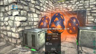 ARK Survival Evolved how to incubate quetzal eggs [upl. by Naletak956]