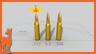 Why 243 Winchester is still my favorite cartridge  243 Win vs 6mm Creedmoor 65 Creedmoor 308 Win [upl. by Naida]