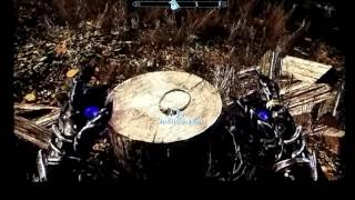 Skyrim  how to get ALL TEMPLE AMULETS easily [upl. by Iram]