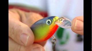 Rapala® XRap® Shad Shallow [upl. by Enirroc25]