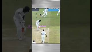 batsman view☠️ shorts cricketshorts speed [upl. by Liuqnoj]