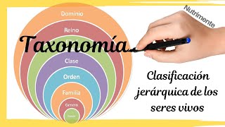 La CLASIFICACIÓN jerárquica de los seres vivos TAXONOMÍA [upl. by Ymirej]