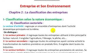 Entreprise et Son Environnement Partie2 La classification des entreprises [upl. by Ailes535]