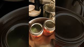 Canning cooked carrots Quick and easy [upl. by Finella475]