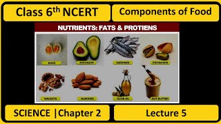 COMPONENTS OF FOOD  Class 6th Science Chapter 2  Lecture 5  NCERT  Nutrients Fats amp Proteins [upl. by Horter20]