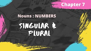 Noun  Numbers Singular and Plural  Chapter 7  Wren and Martin  Examples  Exercise [upl. by Tutankhamen]