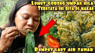 LUMUT GORENG CRISPY UMPAN IKAN YANG BISA DI MAKAN [upl. by Gun]