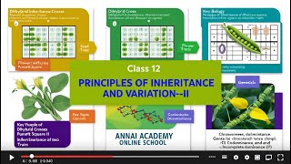 Mastering Genetics Principles of Inheritance and Variation Uncovered [upl. by Gerlac]