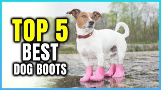 Top 5 Best Dog Boots  Extreme Reviewer [upl. by Dam]