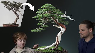 A Wild Tree Yamadori Becomes a Bonsai [upl. by Notlem517]