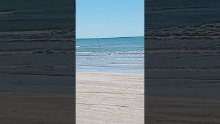 Surf fishing report Packery Channel Jan 29 2024 Corpus Christi TX [upl. by Christen25]