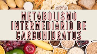 BioquímicaCarbohidratos  Metabolismo intermediario de los carbohidratos  sem 12 URP [upl. by Dnivra]