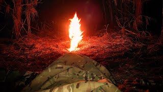 Solo Wildcamp in Thetford Forest wildcamping bushcraft offgrid [upl. by Wilma]