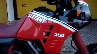 CAGIVA ELEFANT 350 1988 by ZANIMOTOR [upl. by Wynny]