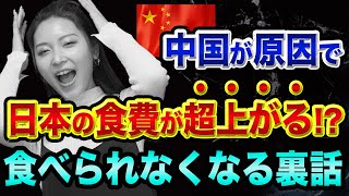 中国経済や異常気象で、日本の食費が超上がる【日本の食料自給率は大嘘】マヨネーズ値上げとリーマンショックと食糧危機の関係 [upl. by Krusche]