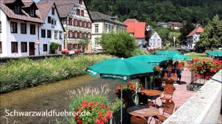 Fachwerkstadt Schiltach im Kinzigtal im Schwarzwald [upl. by Carlen]