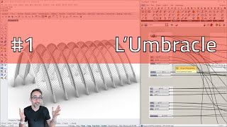 Algorithmic Modeling 21 LUmbracle [upl. by Yelnoc307]