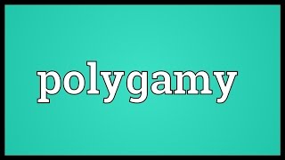 Polygamy Meaning [upl. by Enom]