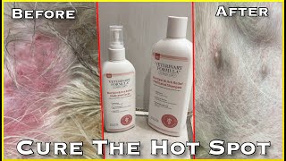 Cure The Hot Spot On Your Dog Stop The Itch  Veterinary Clinical Care Hot Spot Spray Shampoo Review [upl. by Leibarg737]