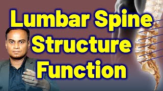 Structure amp Function of Lumbar Spine related to Lumbar Spindylosis Low Back Pain Treatment amp Cure [upl. by Enitsirhk]